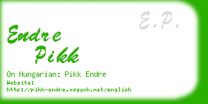 endre pikk business card